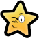shining star logo image